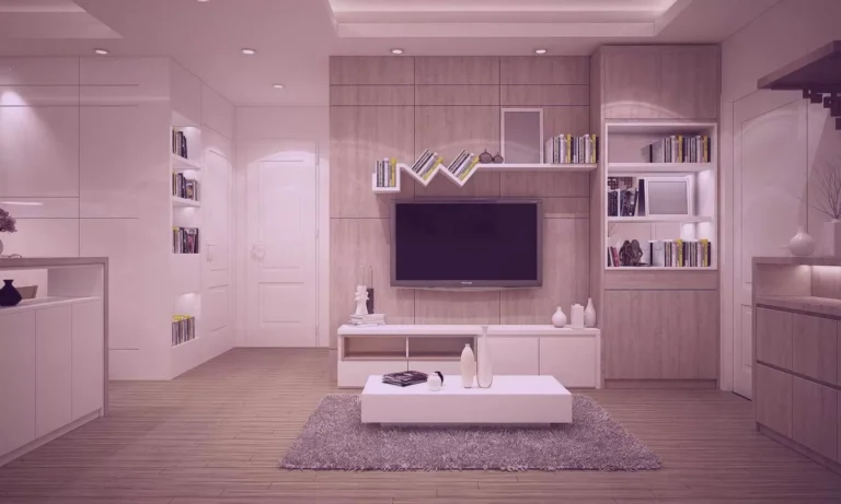home cinema : espace dédié avec vidéoprojecteur et système surround