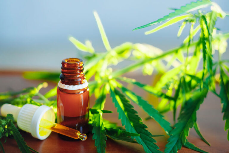 CBD : flacon d'huile de CBD sur fond naturel