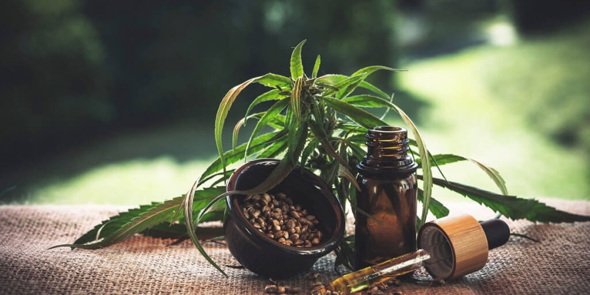 CBD : bouteille de CBD avec gouttes et feuilles de cannabis en arrière-plan