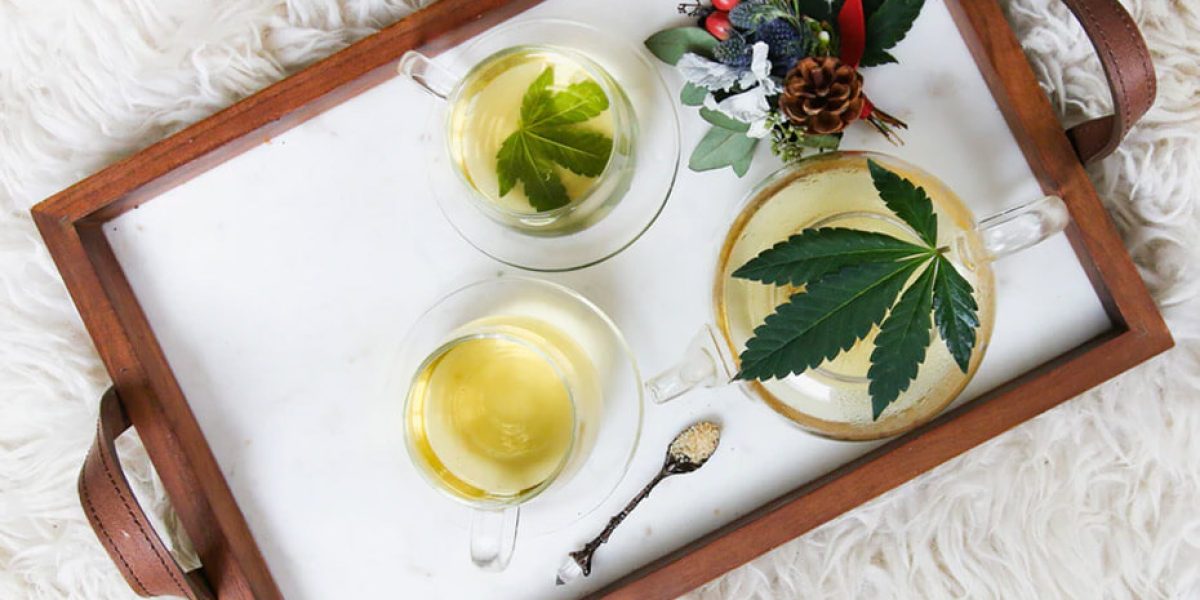 chanvre : plante de chanvre illustrant le débat sur son interdiction