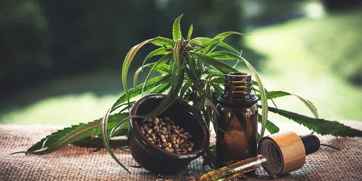 effets du CBD : illustration représentant les bienfaits du cannabidiol sur la santé